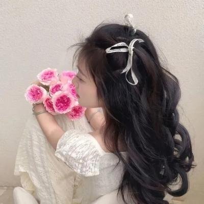 红色翅膀:火烈鸟故事